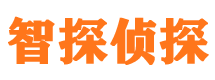 锡山市私家侦探公司